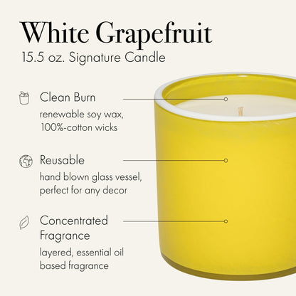 LAFCO New York Signature Candle – White Grapefruit, 15.5 oz, 90-Hour Burn Time