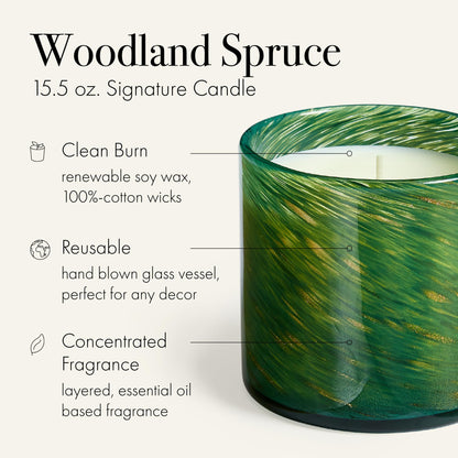 LAFCO New York Holiday Signature Candle – Woodland Spruce, 15.5 oz, 90-Hour Burn, Made in USA