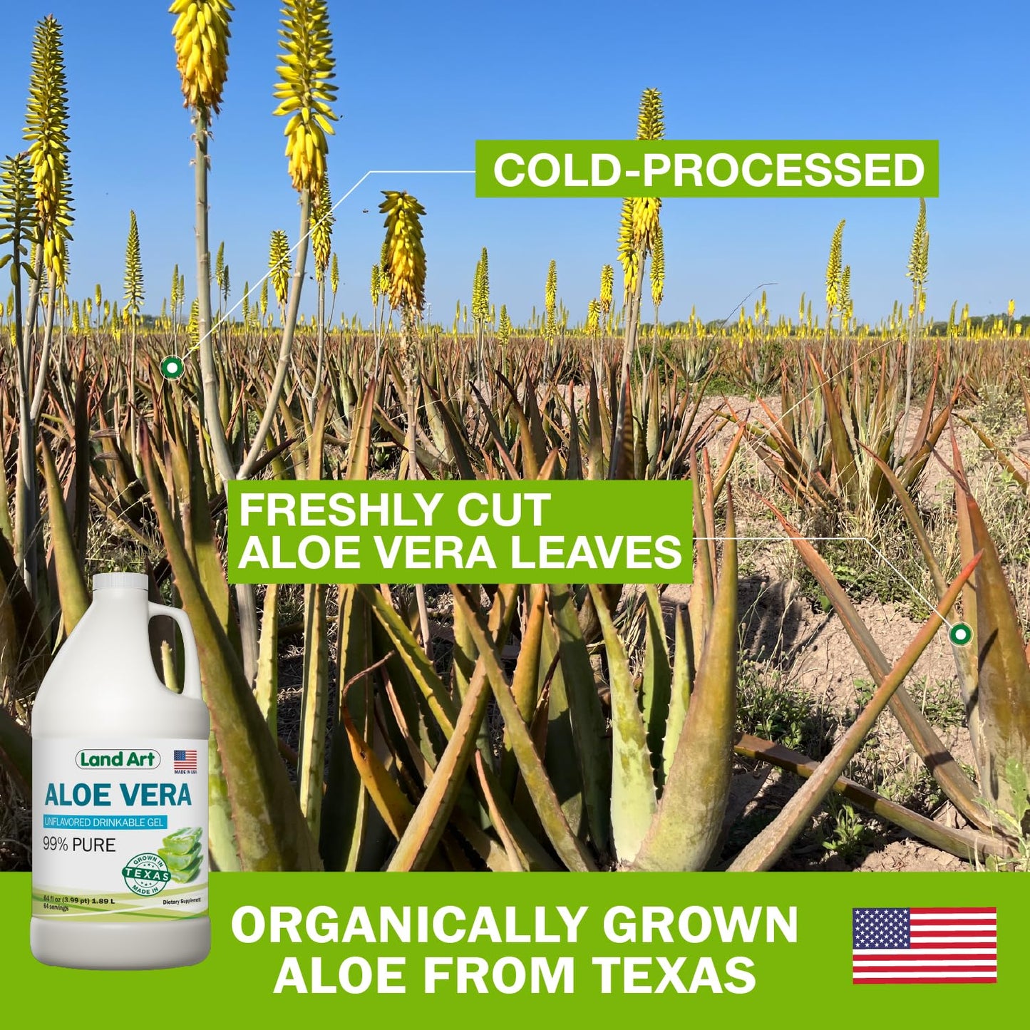 Land Art Organic Aloe Vera Drinkable Gel – 99.7% Pure, Cold-Processed, Digestive Support (64 oz x 2)