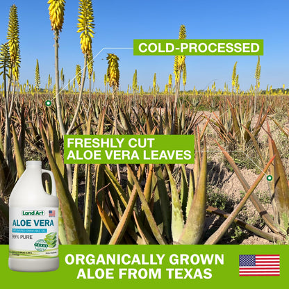 Land Art Organic Aloe Vera Drinkable Gel – 99.7% Pure, Cold-Processed, Digestive Support (64 oz x 2)