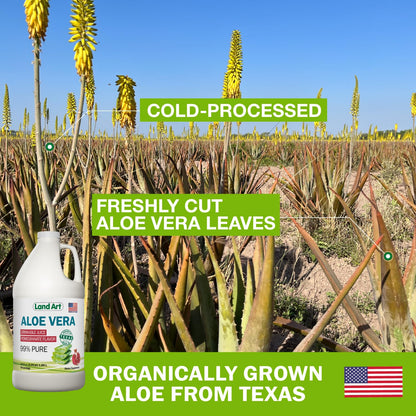Land Art Pure Aloe Vera Juice - Pomegranate Flavored - Cold-Processed - 64 fl oz