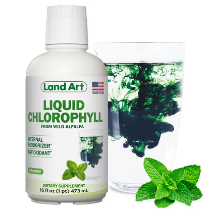 Land Art Liquid Chlorophyll Mint – Cold-Extracted from Wild Non-GMO Alfalfa – Detox & Antioxidant Supplement – 16 fl oz