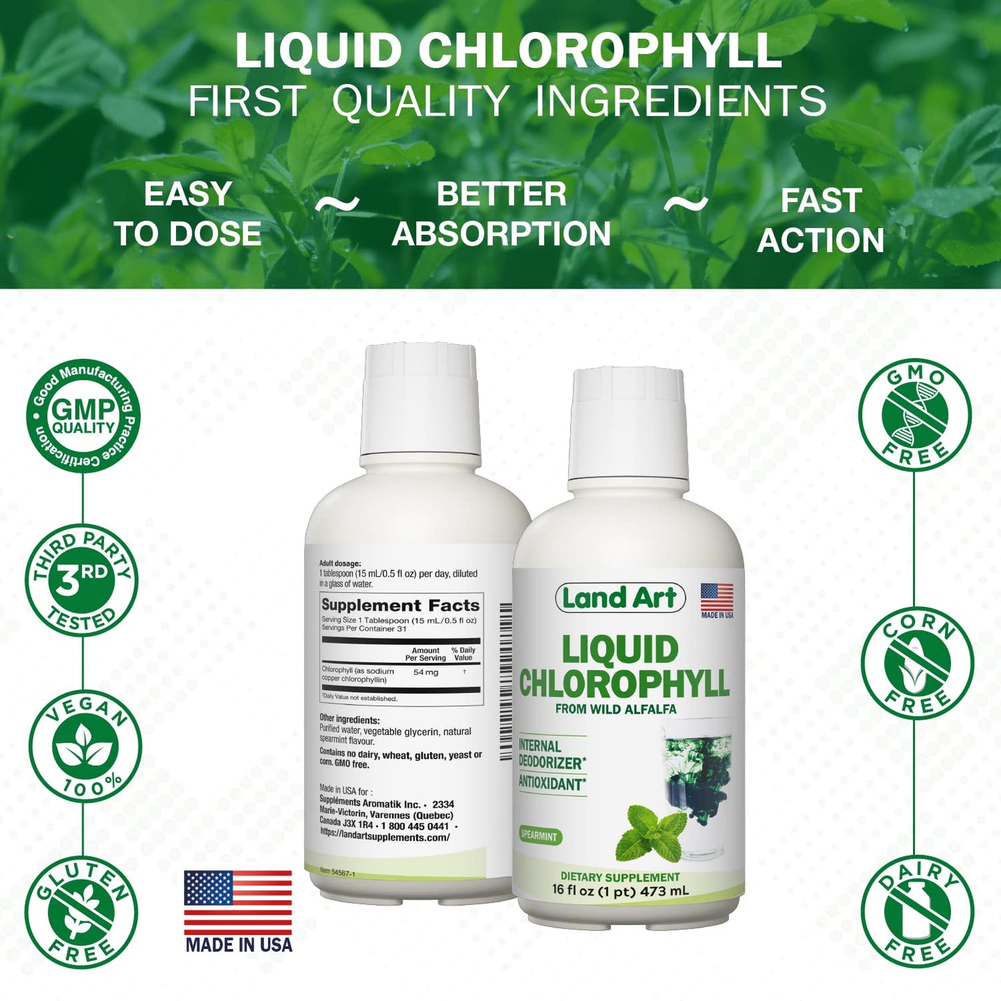 Land Art Liquid Chlorophyll Mint – Cold-Extracted from Wild Non-GMO Alfalfa – Detox & Antioxidant Supplement – 16 fl oz
