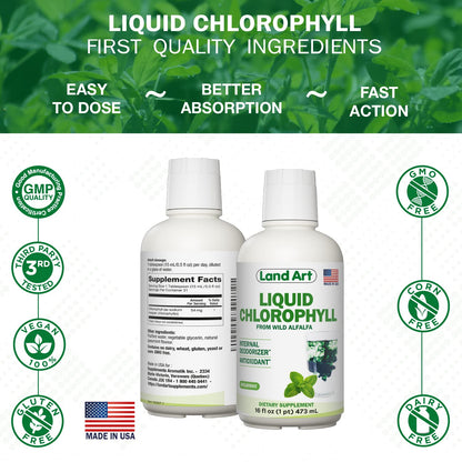 Land Art Liquid Chlorophyll Mint – Cold-Extracted from Wild Non-GMO Alfalfa – Detox & Antioxidant Supplement – 16 fl oz