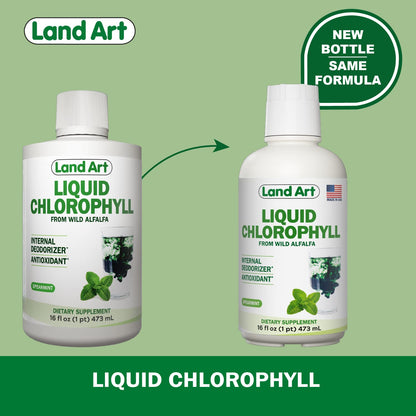 Land Art Liquid Chlorophyll Mint – Cold-Extracted from Wild Non-GMO Alfalfa – Detox & Antioxidant Supplement – 16 fl oz