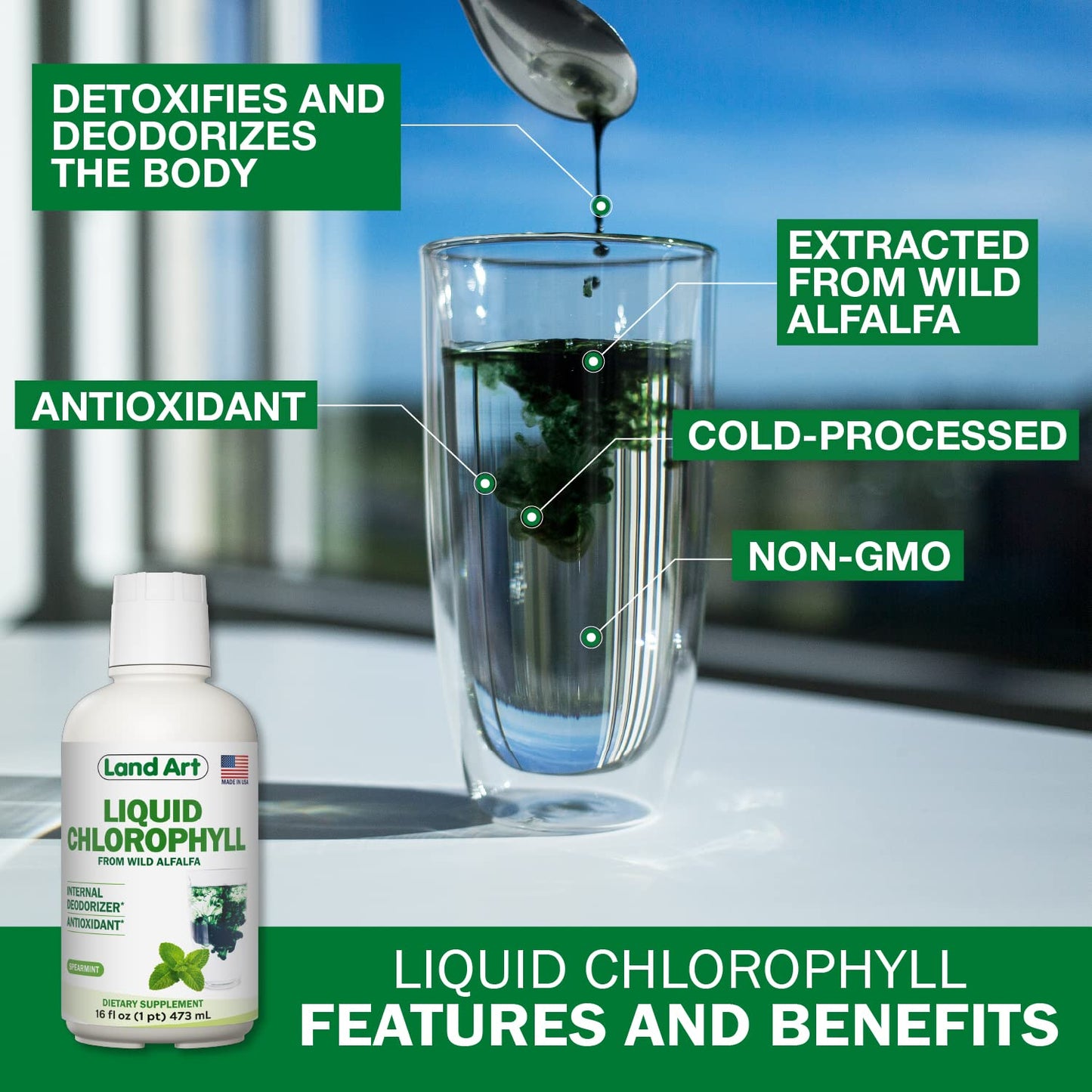 Land Art Liquid Chlorophyll Mint – Cold-Extracted from Wild Non-GMO Alfalfa – Detox & Antioxidant Supplement – 16 fl oz