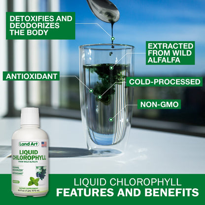 Land Art Liquid Chlorophyll Mint – Cold-Extracted from Wild Non-GMO Alfalfa – Detox & Antioxidant Supplement – 16 fl oz