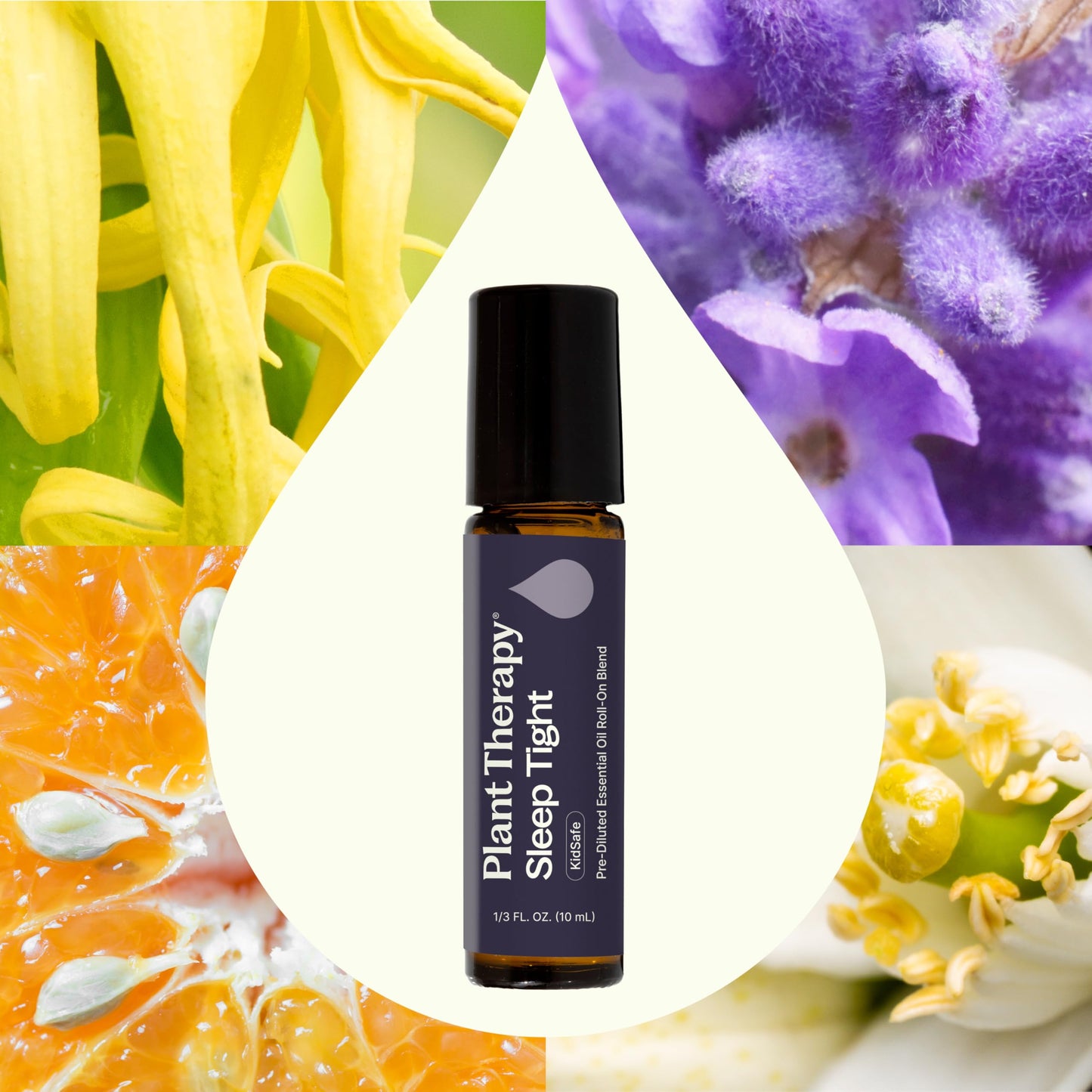 Plant Therapy Sleep Tight Roll-On 10 mL – Pre-Diluted Essential Oil Blend