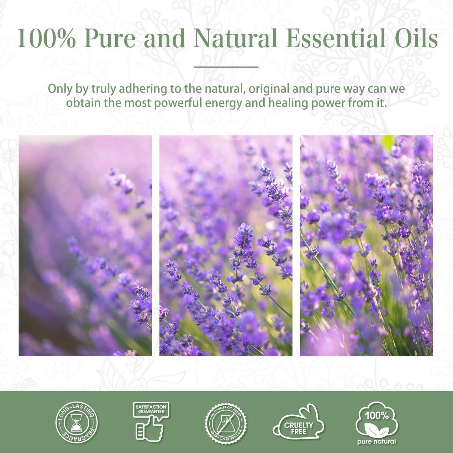 Lavender Essential Oil 3.38 fl oz (100 ml) | PHATOIL Aromatherapy for Diffuser, Humidifier | DIY Soap, Candle & Bath Bombs