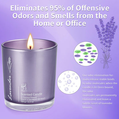 Lavender Candles 2-Pack - 23oz Large Jar Aromatherapy Gift