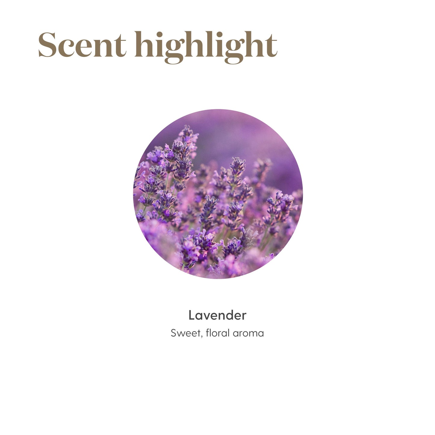 Lavender Essential Oil 5ml by Young Living – Culinary Vitality Oil