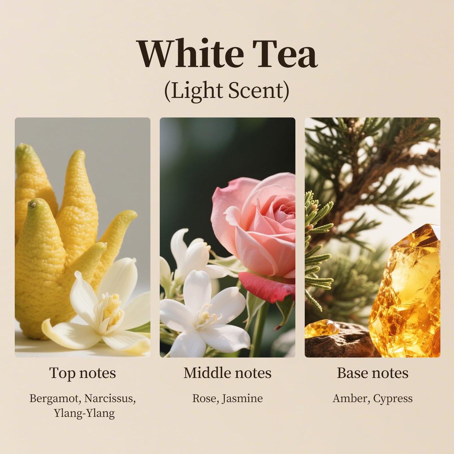 White Tea Scent Aroma Diffuser Refill – Natural Essential Oil Blend, 500ml (16.9 fl oz) Bulk for Home & Hotel