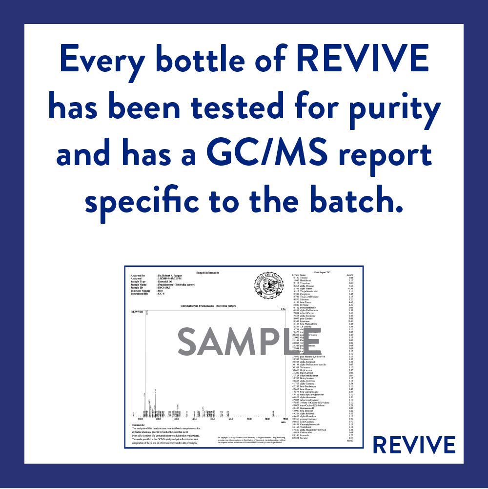 Lavender Essential Oil 2 Pack - Revive Essential Oils | REVIVEEO 100% Pure Therapeutic Grade
