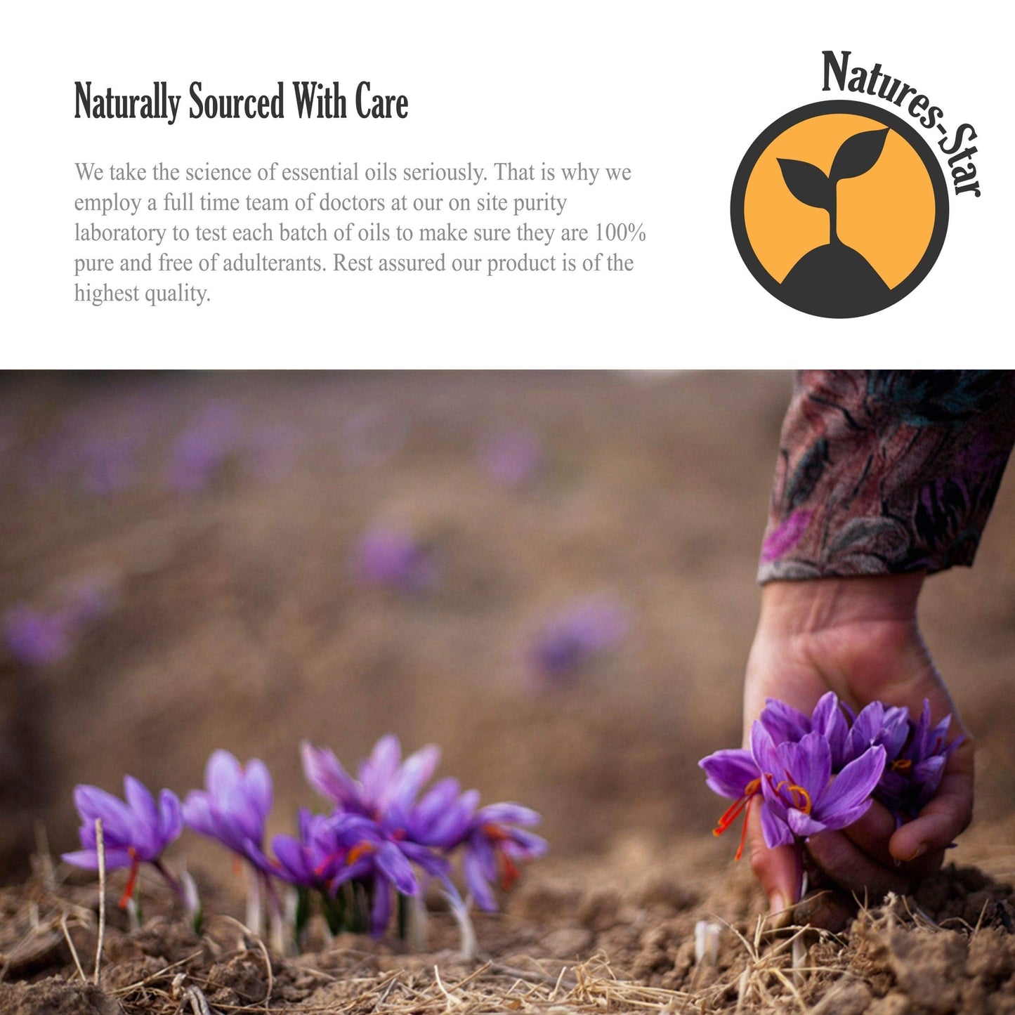 Natures-Star Lavender Essential Oil (2 Pack) - Aromatherapy & Candle Making | 16 oz