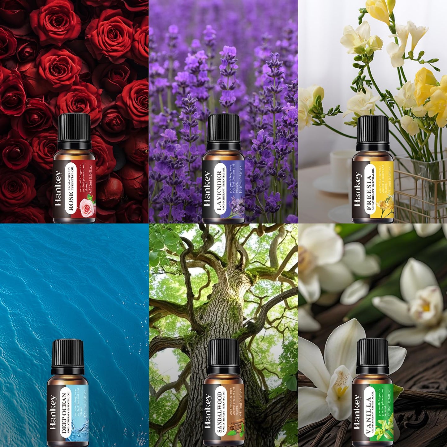 6-Piece Essential Oils Set – Lavender, Rose, Vanilla, Sandalwood, Freesia & Deep Ocean | 100% Pure