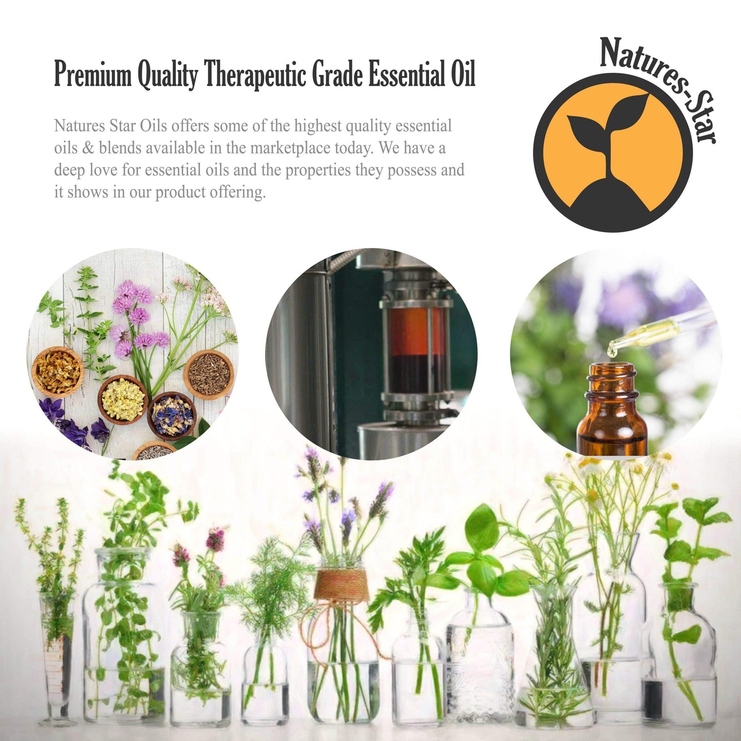 Natures-Star Lavender Essential Oil (2 Pack) - Aromatherapy & Candle Making | 16 oz