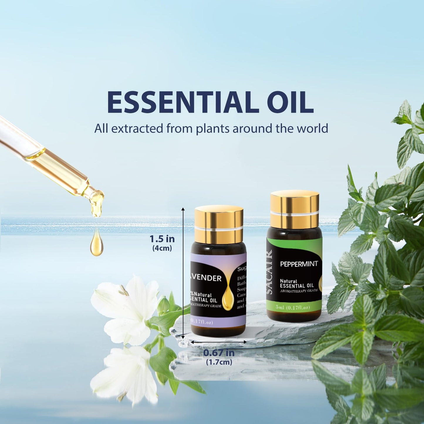 SACATR Essential Oils Set – 12 x 5ml Natural Oils Gift Set for Diffuser & DIY Projects
