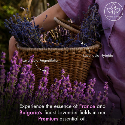 Majestic Pure Lavender Essential Oil - 3.4 Fl Oz, 100% Pure & Natural, Glass Dropper