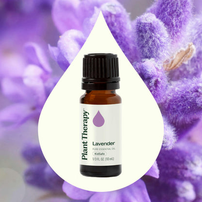 Plant Therapy Lavender Essential Oil – 100% Pure, Undiluted, Therapeutic Grade (10 mL)