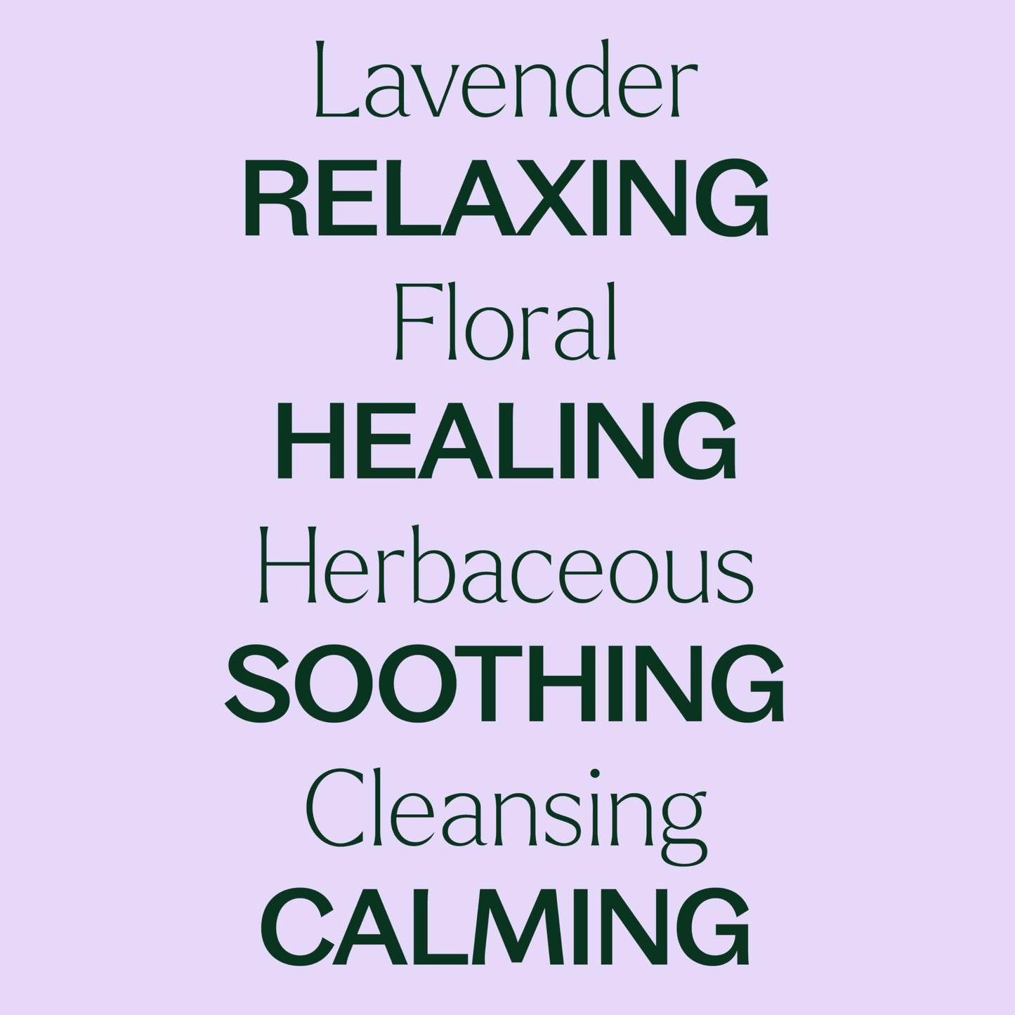 Plant Therapy Lavender Essential Oil - 100% Pure, Undiluted, Therapeutic Grade, 100 mL
