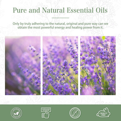 Lavender Essential Oil 30ml (1.01 fl oz) by PHATOIL | Aromatherapy, Diffuser & DIY Soap & Candle Making