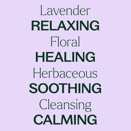 Plant Therapy Lavender Essential Oil – 100% Pure, Undiluted, Therapeutic Grade (10 mL)