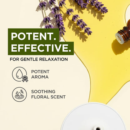 Gya Labs Lavender Essential Oil 0.34 fl oz | Premium Grade for Diffuser, Aromatherapy, Skin & Hair Care, Body Massage & DIY Candles