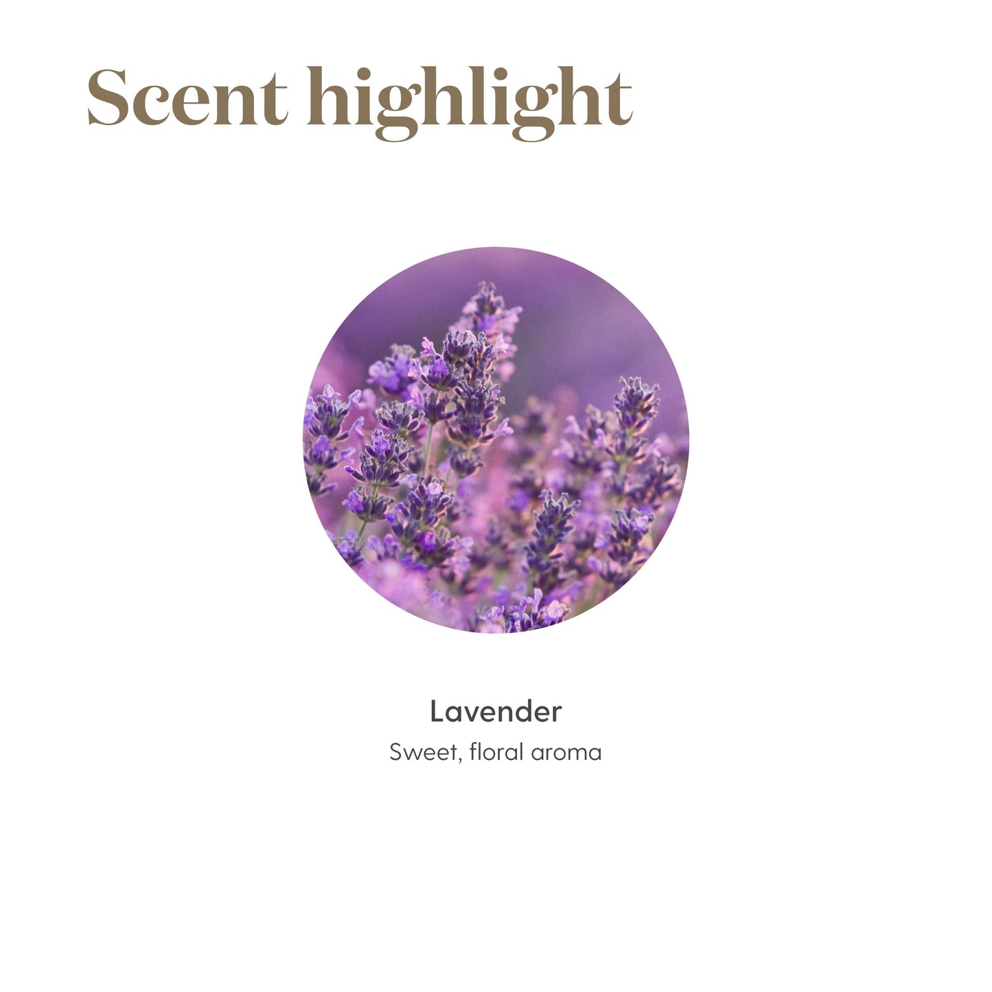 Lavender Essential Oil by Young Living, 15 mL – Topical & Aromatic Use