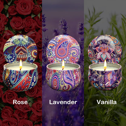 3 Pack Home Scented Candles – Lavender, Vanilla & Rose | 2.5 oz Soy