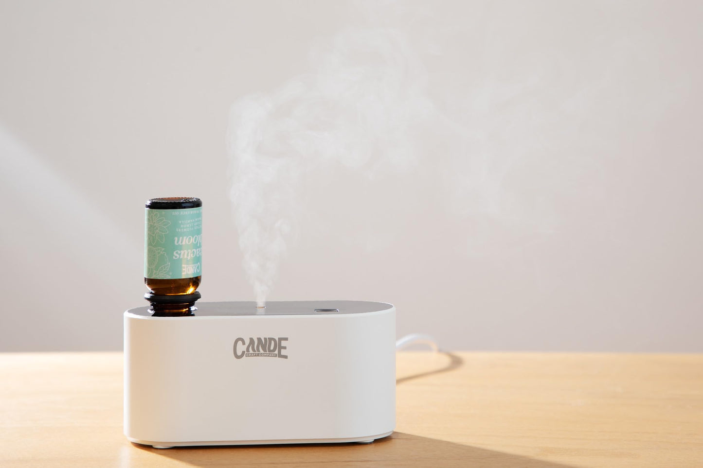 CE CRAFT Waterless Travel Diffuser Gift Set – Rechargeable with 3 Fragrance Oils