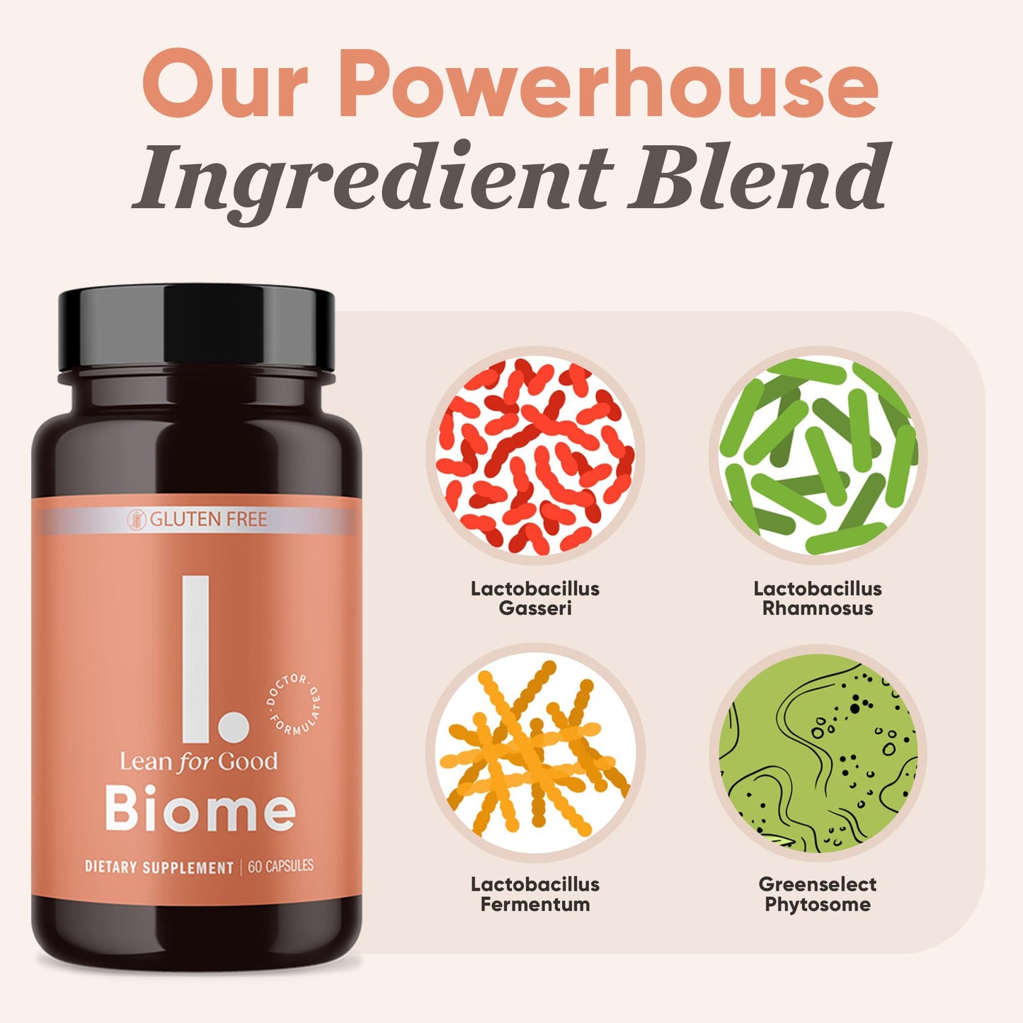 LEANFORGOOD Biome | 9-Strain Probiotic Formula, Supports a Balanced Gut Microbiome, Greenselect Phytosome - 60 Capsules