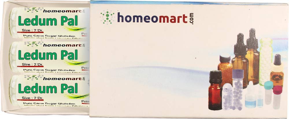 Homeomart.com Ledum Palustre Homeopathy Pellets (Pills) in 6C Potency, Pack of 3