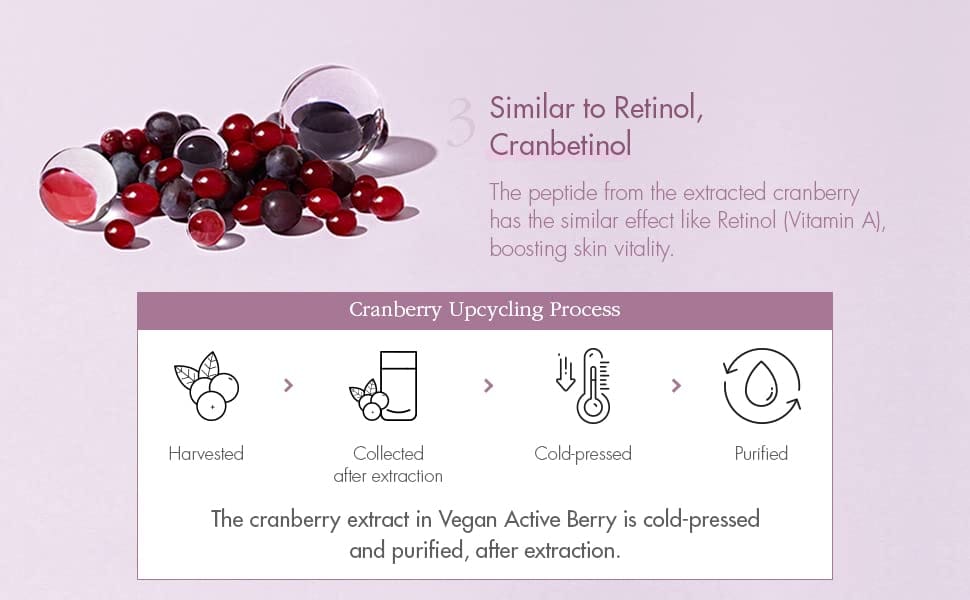 LeeGeeHaam Dr.Ceuracle Vegan Active Berry First Essence – Antioxidant Hydrating Serum