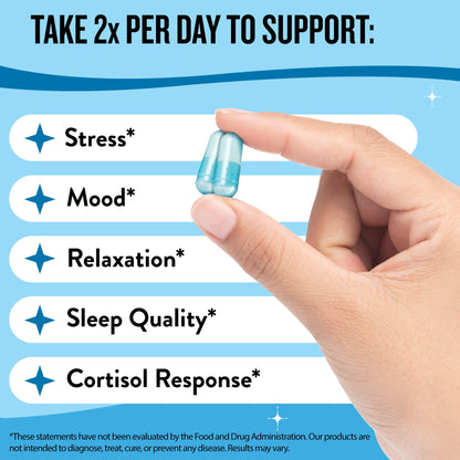Miss Bliss Daily Stress Support – Saffron, L-Theanine & Magnesium | Legendairy Milk 60 Capsules