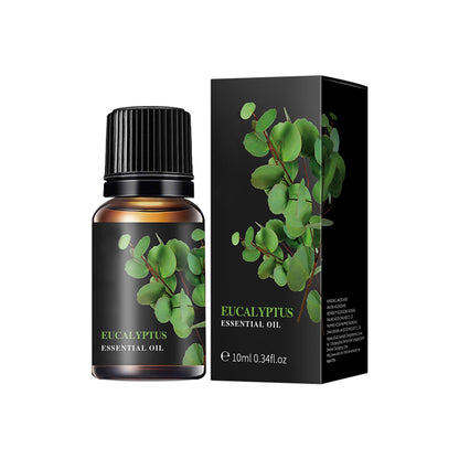 LEHOYIANG Eucalyptus Essential Oil 10ml for Diffusers, Candles & Soaps