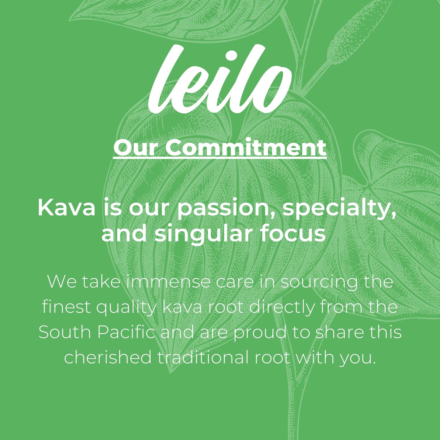LEILO Kava-Powered Sparkling Relaxation Drink - Variety Sampler 6-Pack | 12 oz Cans | Non-ALC