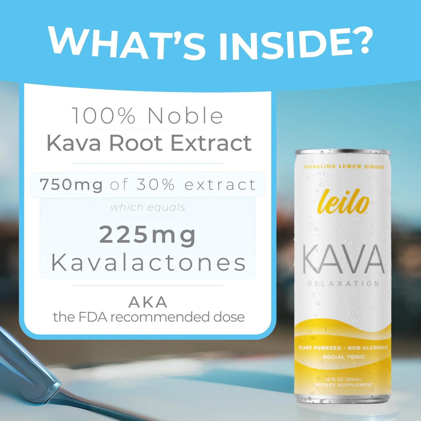 LEILO Kava-Powered Sparkling Relaxation Drink - Variety Sampler 6-Pack | 12 oz Cans | Non-ALC