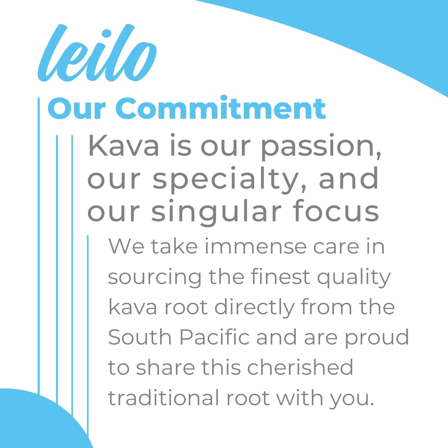 LEILO Kava-Powered Sparkling Relaxation Drink - Variety Sampler 6-Pack | 12 oz Cans | Non-ALC