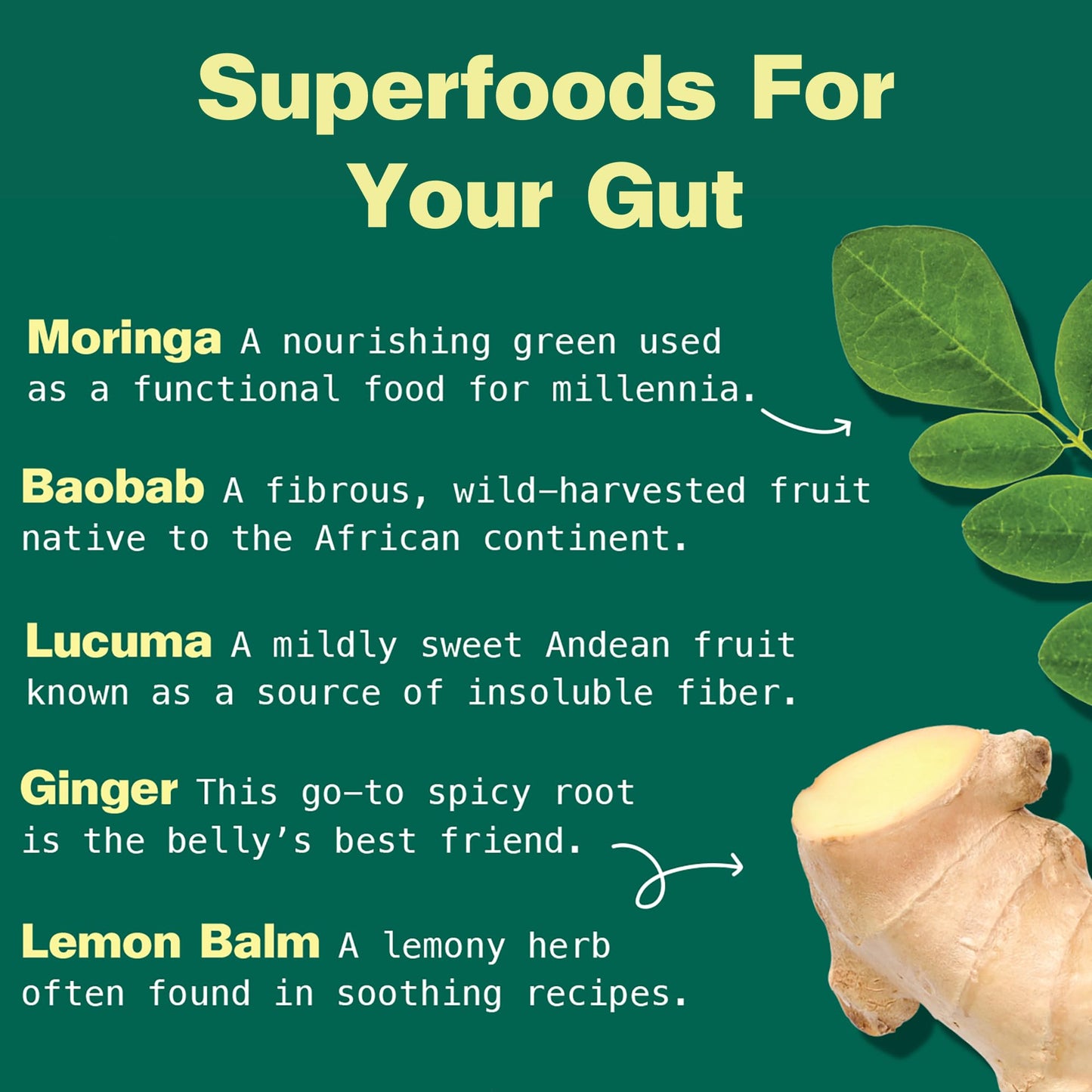 Kuli Kuli Gut Bliss Superfood Powder 6 oz | Organic Moringa & Gut Health