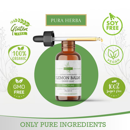Lemon Balm Tincture – Alcohol-Free | Melissa Officinalis Liquid Extract | Natural Calming & Sleep Support | Herbal Stress Relief – 2 oz