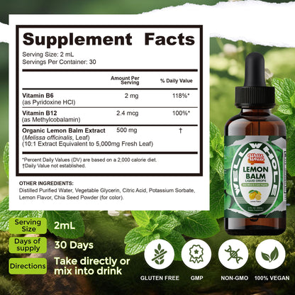 Organic Lemon Balm Tincture for Relaxation & Mood Balance – Fast-Absorbing, Alcohol-Free (60 mL)