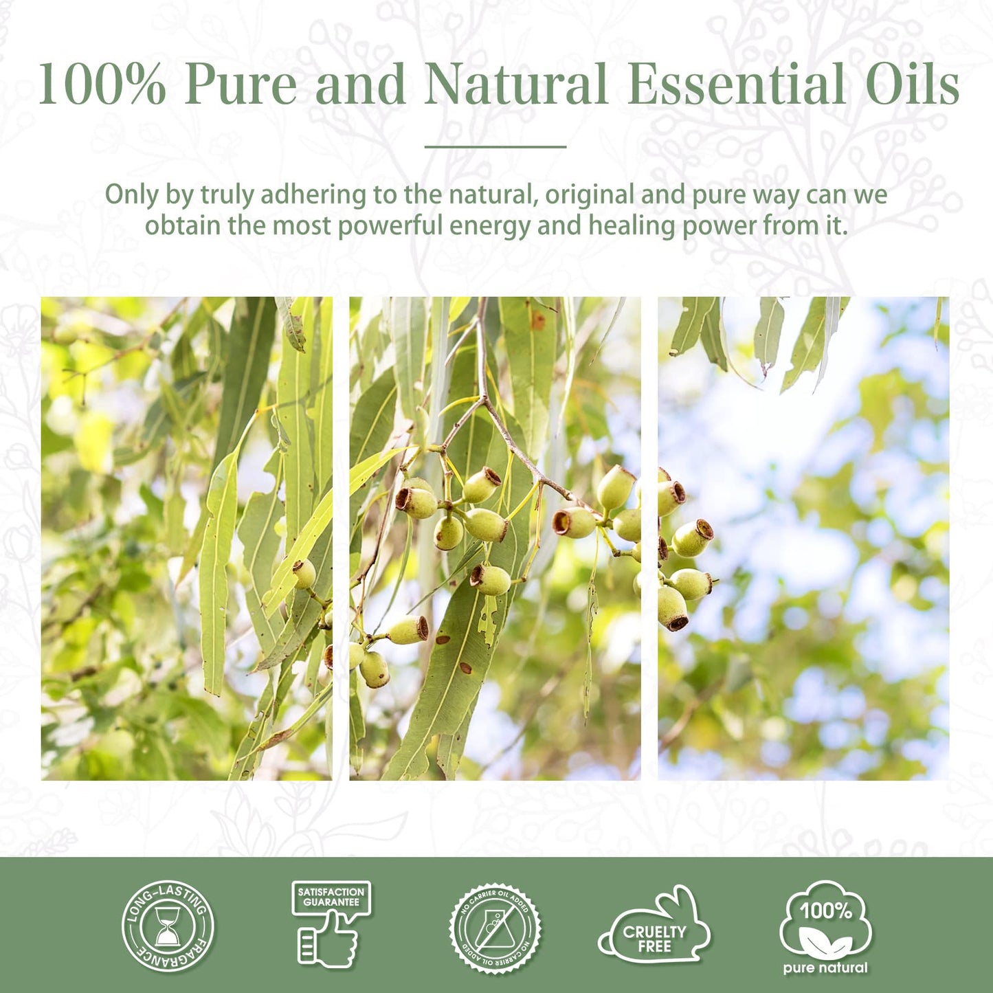 Lemon Eucalyptus Essential Oil 100ml | PHATOIL Aromatherapy for Diffusers, Soap & Candles