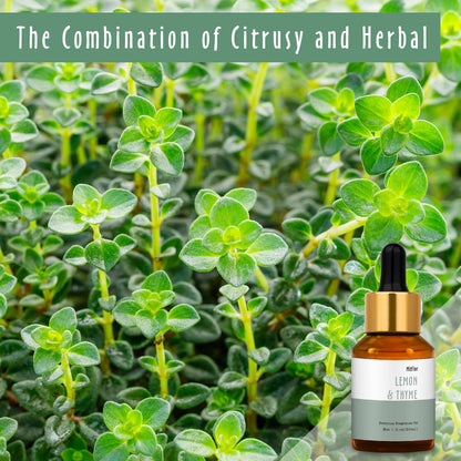 Lemon & Thyme Fragrance Oil 30ml | MitFlor Premium Grade for Soap, Candle & Home Diffuser