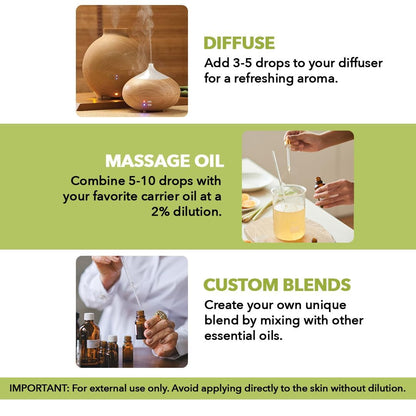 Majestic Pure Lemongrass Essential Oil – 100% Pure & Natural, 4 Fl Oz