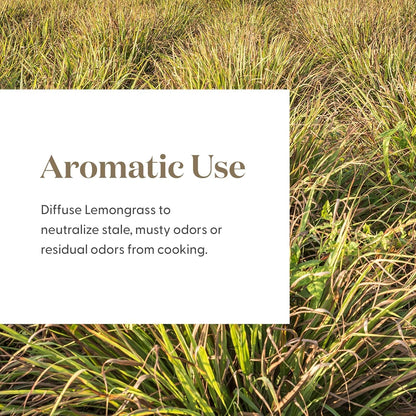 Lemongrass Essential Oil by Young Living – 15 mL | Topical & Aromatic