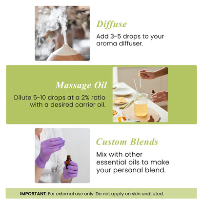 Handcraft Blends Lemongrass Essential Oil – 4 Fl Oz | 100% Pure & Natural, Premium Grade