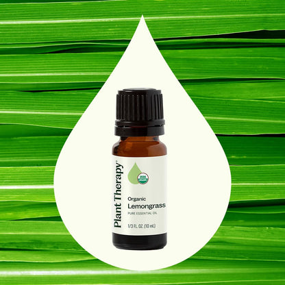 Plant Therapy Organic Lemongrass Essential Oil – 100% Pure, USDA Organic, 10 mL