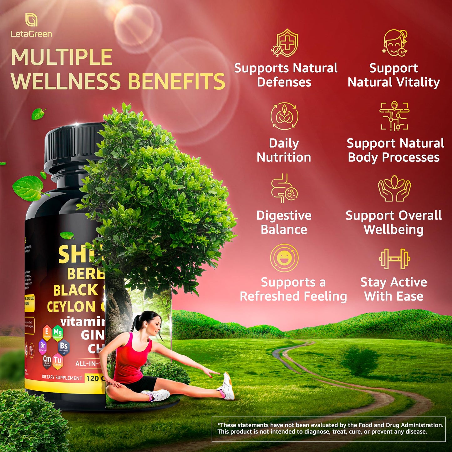 LetaGreen Organic Himalayan Shilajit Capsules – All-in-1 Fulvic Acid (120 Count)