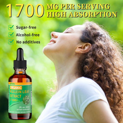 LETSCOL Organic Mullein Drops – 1700mg Mullein Leaf Extract for Lung & Immune Support | Non-GMO, Vegan, 2 Oz