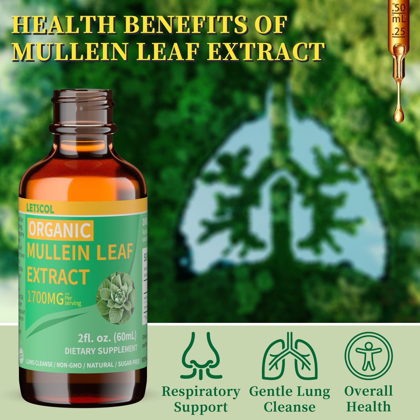 LETSCOL Organic Mullein Drops – 1700mg Mullein Leaf Extract for Lung & Immune Support | Non-GMO, Vegan, 2 Oz